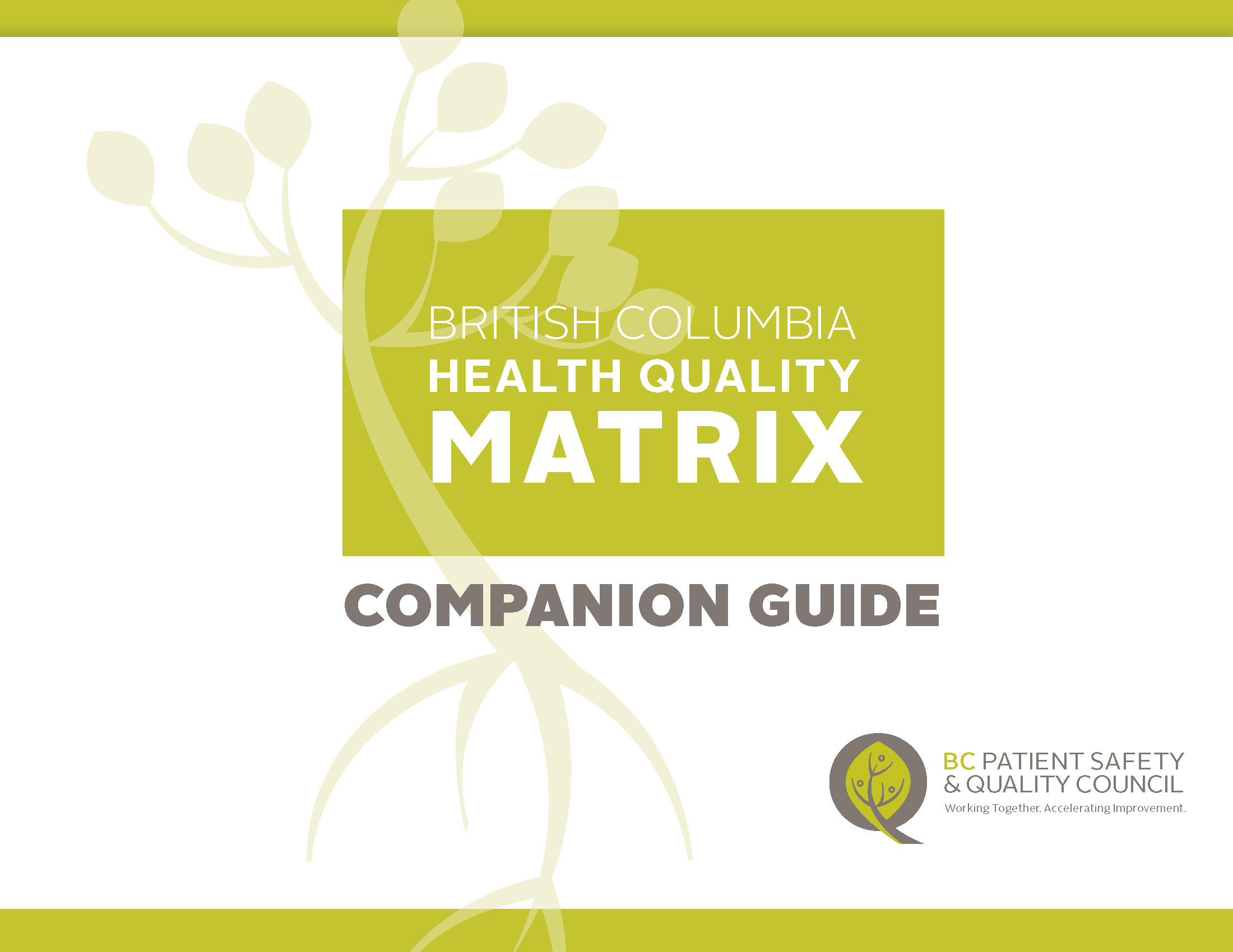 BC Health Quality Matrix Companion Guide