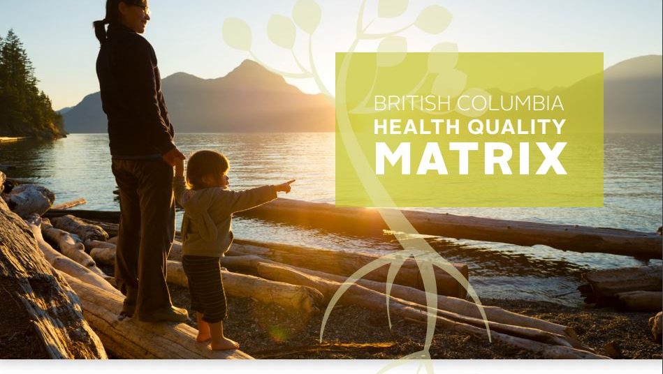 BC Health Quality Matrix